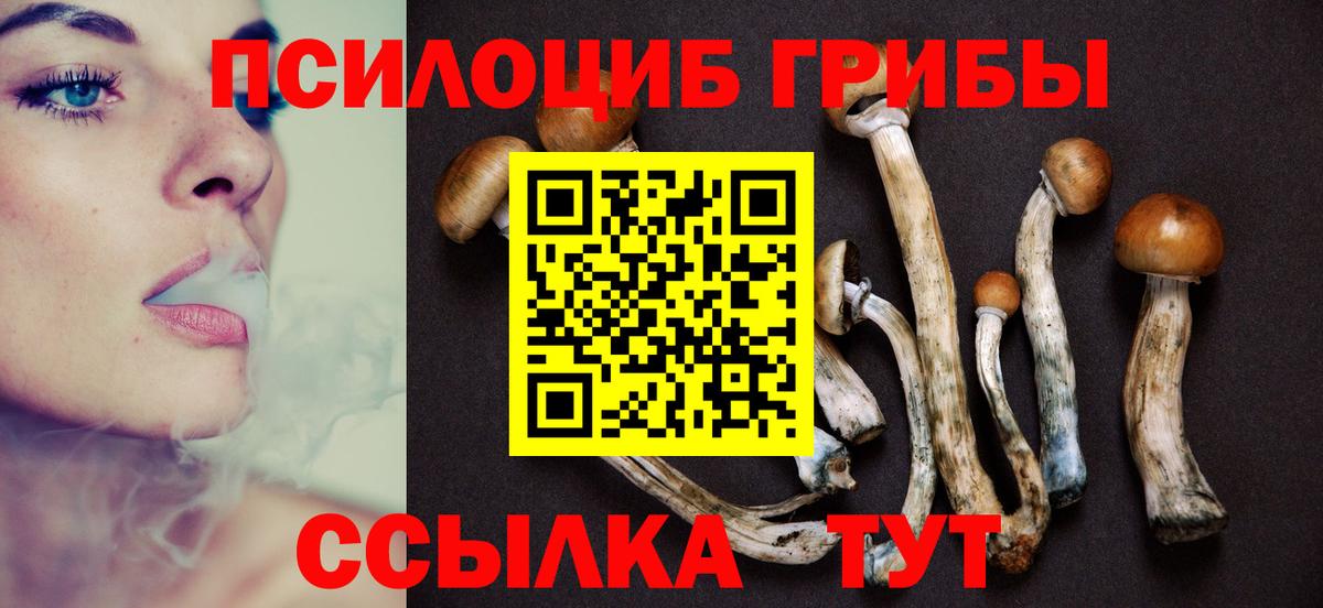 Белогорск  цены   Вход с VPN  Псилоцибиновые грибы мицелий  Псилоцибиновые грибы Cubensis 